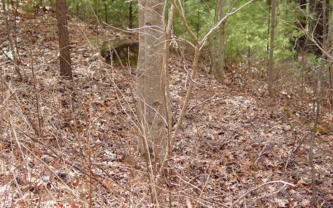 #10 Spaniard Point Road Hiawassee GA 30546