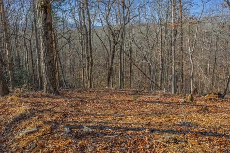 Lot 40 Timberwalk Drive Ellijay GA 30540