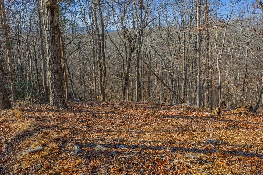 Lot 40 Timberwalk Drive Ellijay GA 30540
