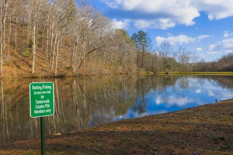 Lot 40 Timberwalk Drive Ellijay GA 30540