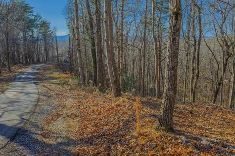 Lot 40 Timberwalk Drive Ellijay GA 30540