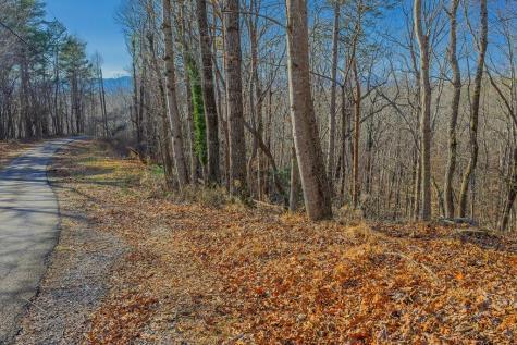 Lot 40 Timberwalk Drive Ellijay GA 30540