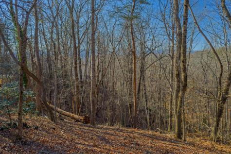 Lot 40 Timberwalk Drive Ellijay GA 30540