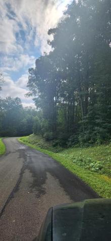 LT175 Trailwood Drive Ellijay GA 30536