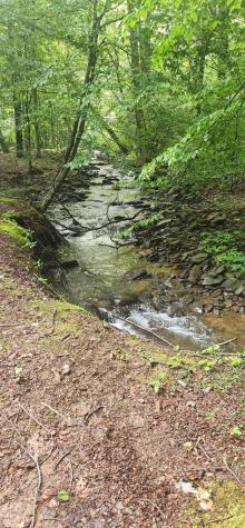 LT175 Trailwood Drive Ellijay GA 30536