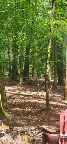 LT175 Trailwood Drive Ellijay GA 30536