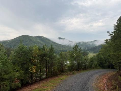 0 Tusquittee Road Hayesville NC 28904