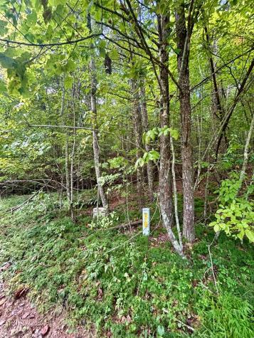 0 Yonah View Drive Cleveland GA 30528