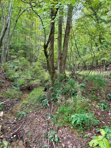 0 Yonah View Drive Cleveland GA 30528