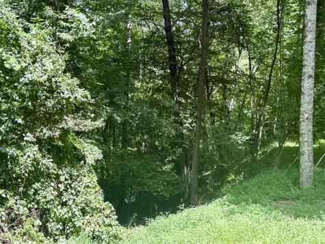 Lot 6 Wild Laurel Brasstown NC 28902