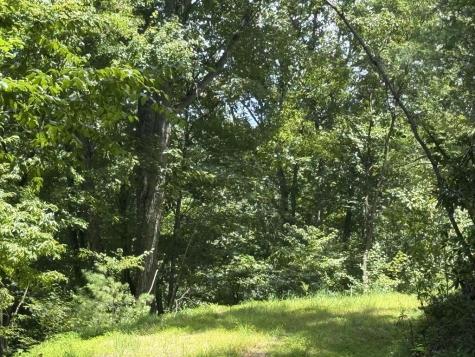 Lot 6 Wild Laurel Brasstown NC 28902