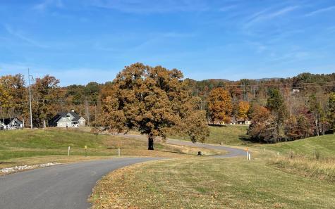 Lt 31 The Groves @ Hp Blairsville GA 30512