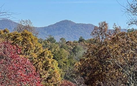 Lt 31 The Groves @ Hp Blairsville GA 30512
