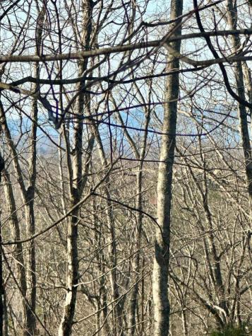 Lot 32 Blue Horizon Drive Blue Ridge GA 30513