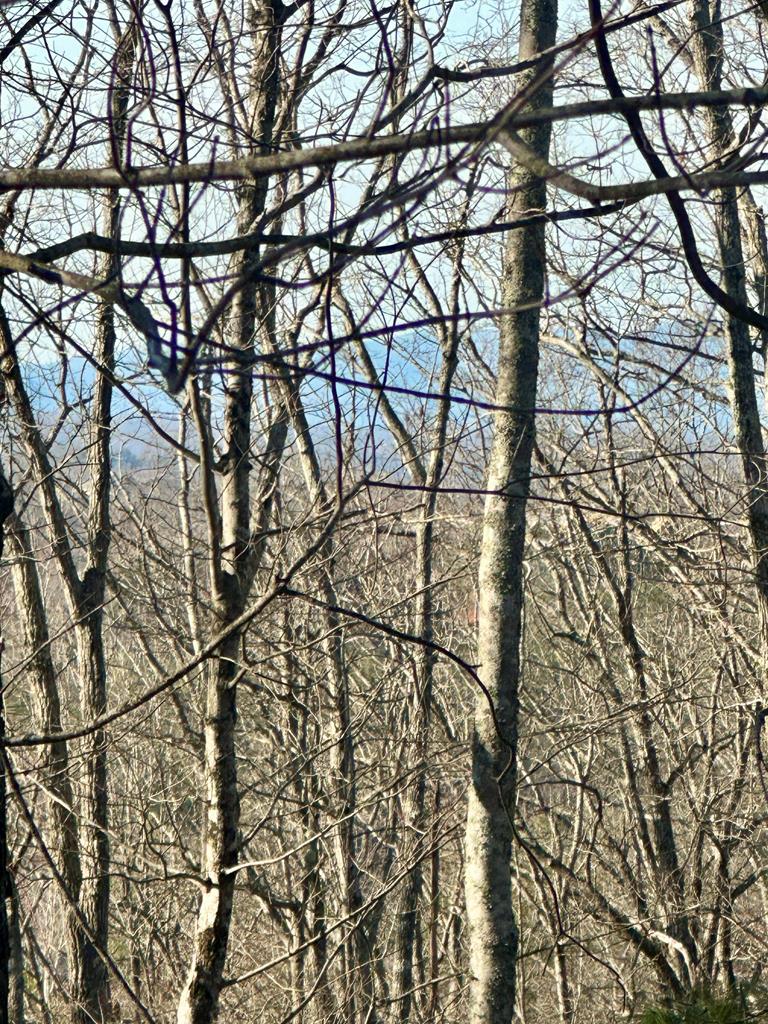 Lot 32 Blue Horizon Drive Blue Ridge GA 30513