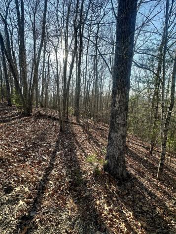 Lot 32 Blue Horizon Drive Blue Ridge GA 30513