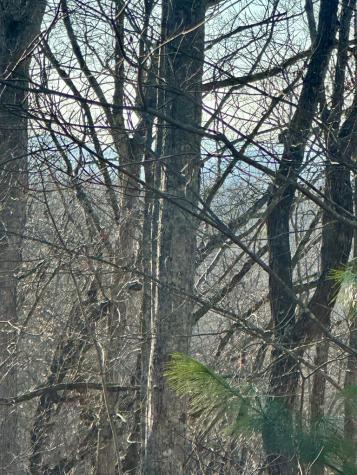 Lot 32 Blue Horizon Drive Blue Ridge GA 30513