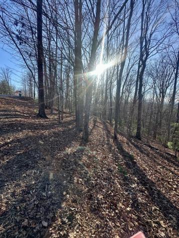 Lot 32 Blue Horizon Drive Blue Ridge GA 30513