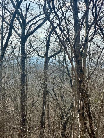 Lot 32 Blue Horizon Drive Blue Ridge GA 30513