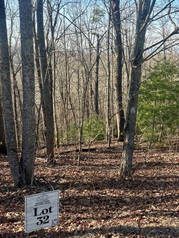 Lot 32 Blue Horizon Drive Blue Ridge GA 30513