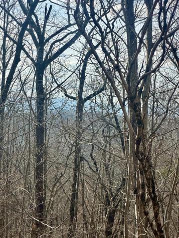 Lot 32 Blue Horizon Drive Blue Ridge GA 30513