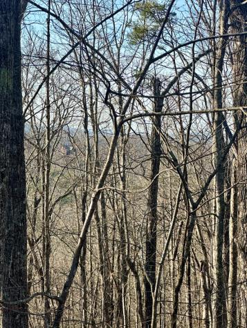 Lot 32 Blue Horizon Drive Blue Ridge GA 30513