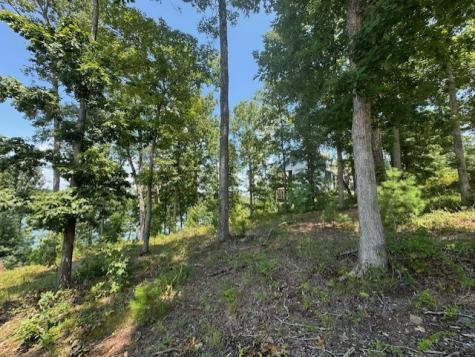 Lot 5 Hunter Lane Blairsville GA 30512