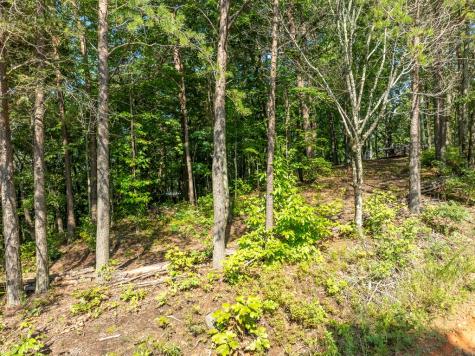 Lot 9 Brushy Top Drive Chatsworth GA 30705