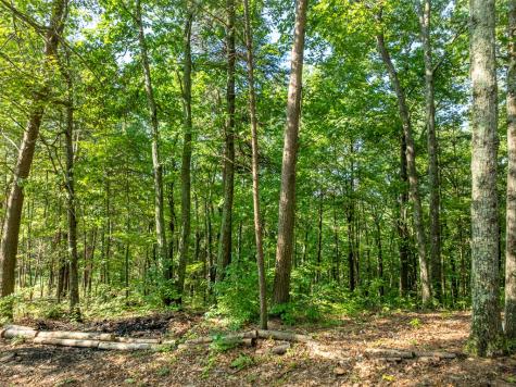 Lot 9 Brushy Top Drive Chatsworth GA 30705