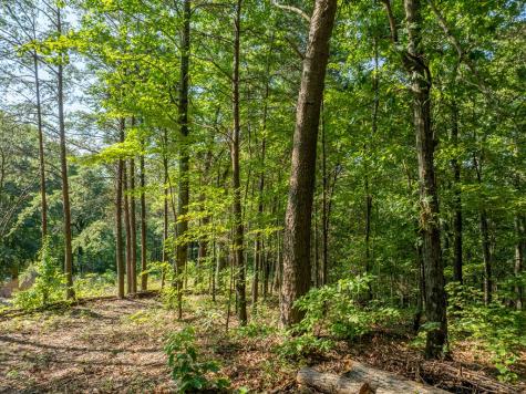 Lot 9 Brushy Top Drive Chatsworth GA 30705