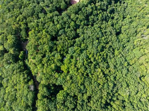 Lot 9 Brushy Top Drive Chatsworth GA 30705