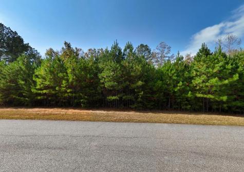Lot 43 Water Oak Lane Blairsville GA 30512