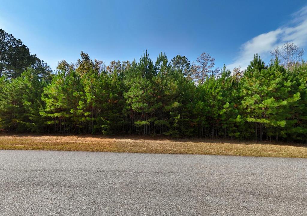 Lot 43 Water Oak Lane Blairsville GA 30512