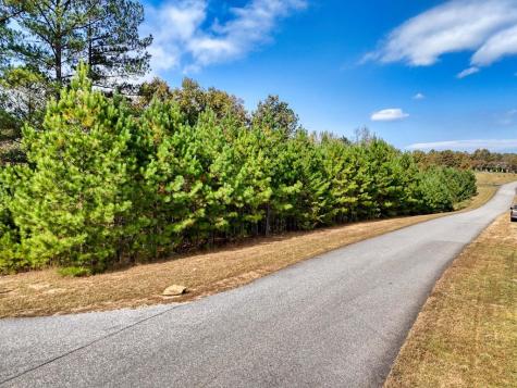 Lot 43 Water Oak Lane Blairsville GA 30512