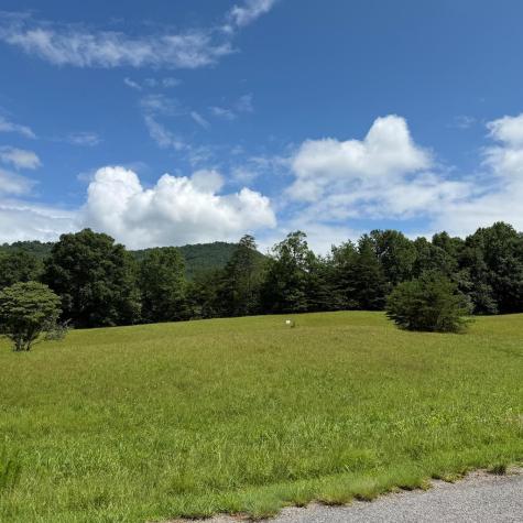 Lot 51 The Preserve At Cc Young Harris GA 30582