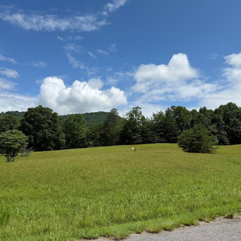 Lot 51 The Preserve At Cc Young Harris GA 30582