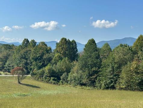 Lot 51 The Preserve At Cc Young Harris GA 30582