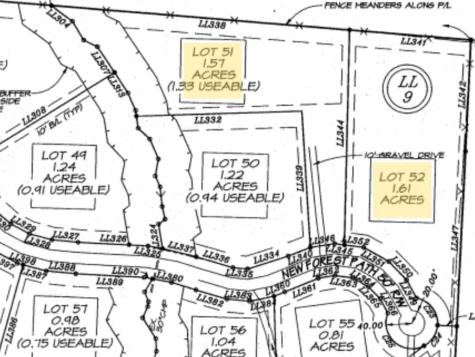 Lot 51 The Preserve At Cc Young Harris GA 30582
