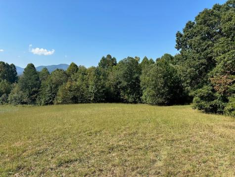 Lot 51 The Preserve At Cc Young Harris GA 30582