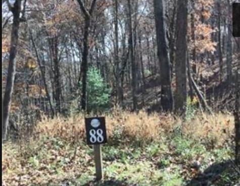 Lot 88 Hilton Drive Ellijay GA 30540