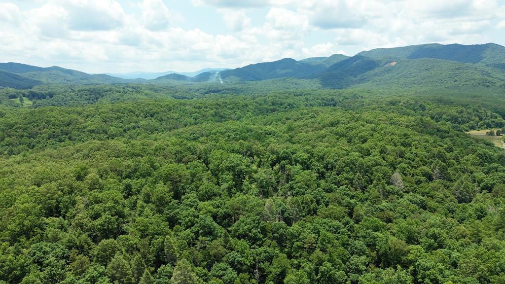 155 Acre Hemlock Ridge Subd Turtletown TN 37391