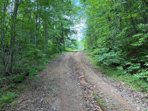 155 Acre Hemlock Ridge Subd Turtletown TN 37391