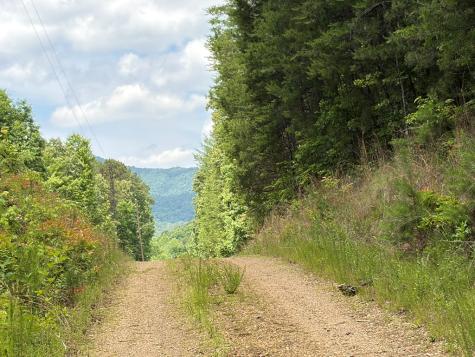 155 Acre Hemlock Ridge Subd Turtletown TN 37391