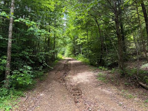 155 Acre Hemlock Ridge Subd Turtletown TN 37391
