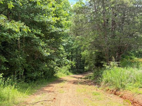 155 Acre Hemlock Ridge Subd Turtletown TN 37391
