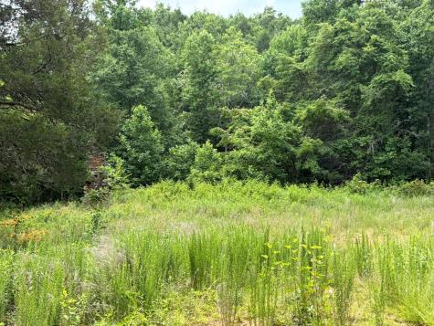 155 Acre Hemlock Ridge Subd Turtletown TN 37391