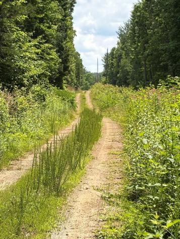 155 Acre Hemlock Ridge Subd Turtletown TN 37391