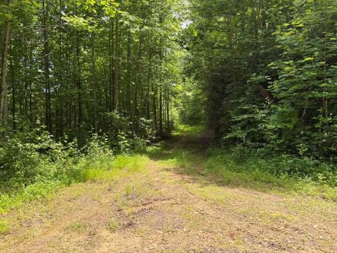 155 Acre Hemlock Ridge Subd Turtletown TN 37391