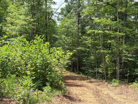 155 Acre Hemlock Ridge Subd Turtletown TN 37391
