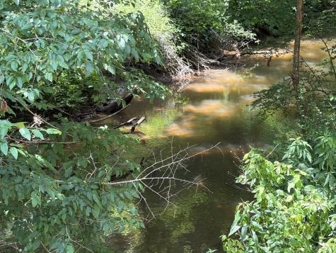 155 Acre Hemlock Ridge Subd Turtletown TN 37391